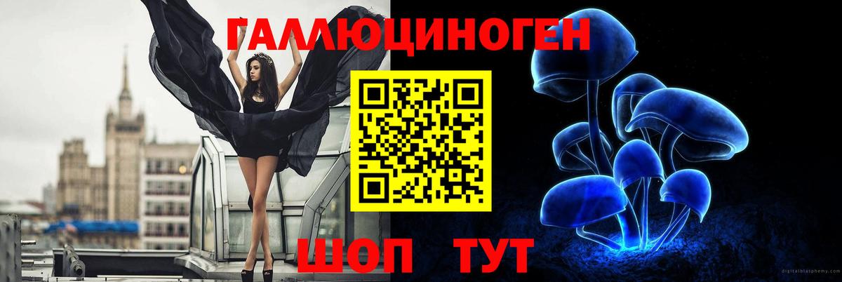 Псилоцибиновые грибы Magic Shrooms Егорьевск